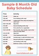 Discover a New 8 Month Old Schedule For Your Baby! Samples Included | 8 ...