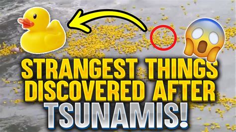 Strangest Things Discovered After Tsunamis Top 10 Coolest Stuff 2020