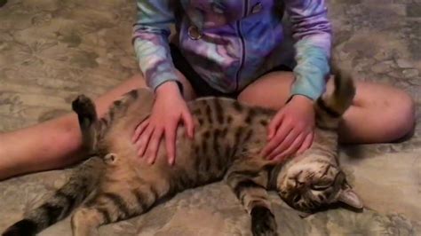 Puma Gets A Belly Rub Youtube