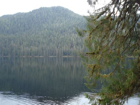 Public and private boat ramps, as well as several private marinas provide access to lake jordan. Site K07, Jordan Lake Cabin - Recreation.gov