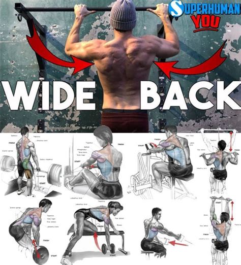 4 Wide Back Exercises Workout Guide Back Exercises Back Workout Men