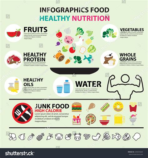 Infographic Food Healthy Nutrition Stock Vector 245044264