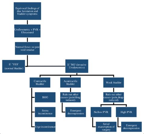 Flowchart For Clinical And Urodynamic Assessment Of A Patient Download Scientific Diagram