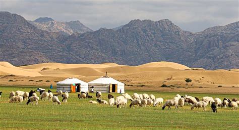 Western Mongolia Tour Altai Tavan Bogd National Park Tour