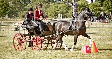 Flickriver Photoset National Carriage Driving Championships 2012 By