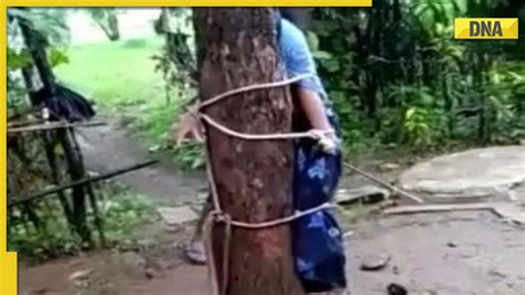 Rajasthan Woman Tied To Tree Brutally Thrashed Over Suspicion Of Extra Marital Affair 5 Held