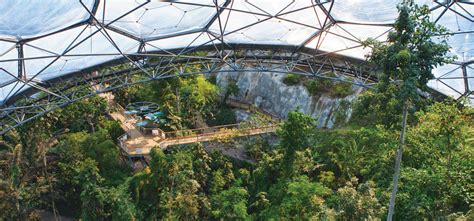 Canopy Walkway Rainforest Biome Eden Project Phase 1 We Are Ease