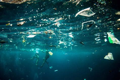 5 Shocking Photos Of What Its Like To Swim In Ocean