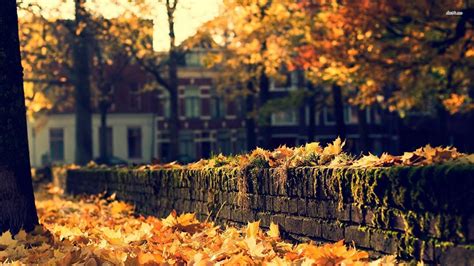 Cozy Autumn Wallpapers Top Free Cozy Autumn Backgrounds Wallpaperaccess