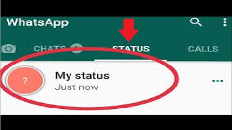If i delete/recreate those friends with i also deleted the profile image in the profile pictures folder and whatsapp downloads it again; How to Fix Whatsapp Status Not Showing in Android, 2019 ...
