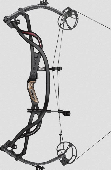 Best Compound Bows At Every Price Point Bowhunter