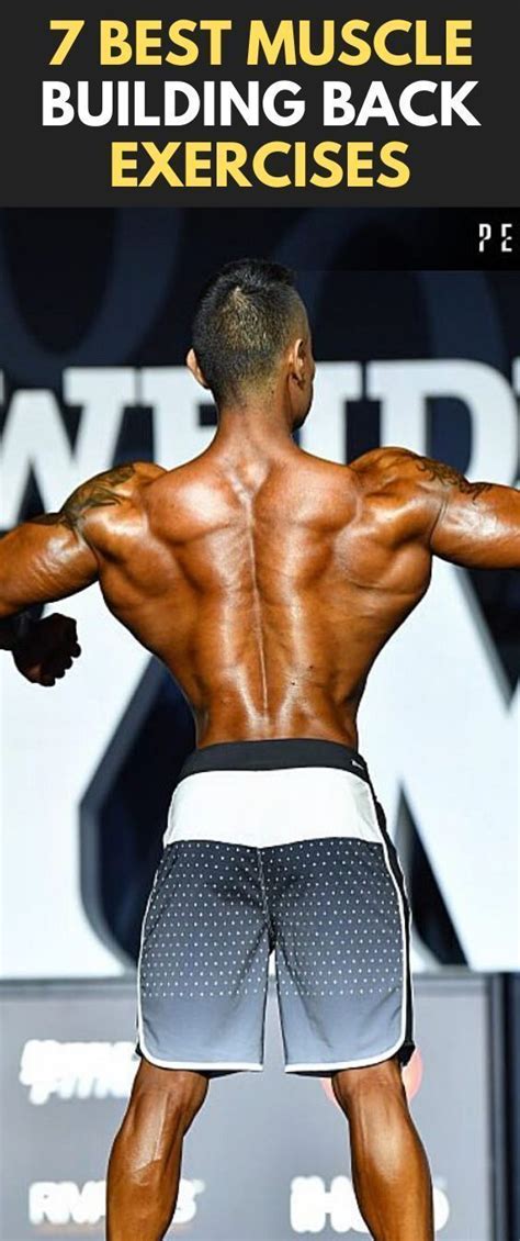 7 best muscle building back exercises back exercises back workout bodybuilding back workout