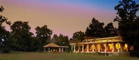 5 Star Jungle Safari Hotels And Resorts In India And Nepal Taj Safaris