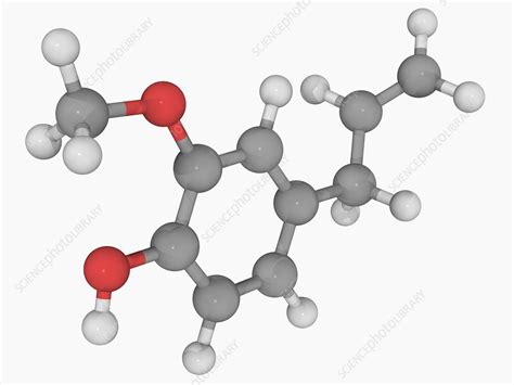 Formula Molecular Do Eugenol