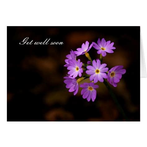 Get Well Soon Purple Flower Greeting Card Zazzle