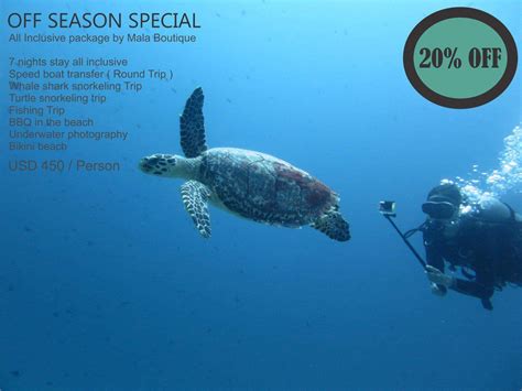 off season special 20 off all inclusive package by mala boutique 7 night stay all inclusive