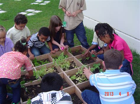 Allapattah Flats First Graders Become Gardeners Lucielink