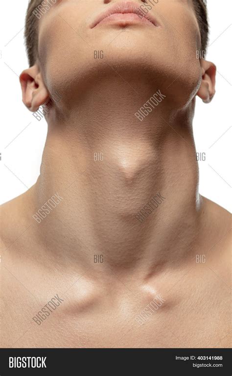 Muscular Neck Image And Photo Free Trial Bigstock