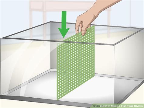 A fish tank divider can be used to separate a tank into sections while still allowing water to flow freely.v161481_b01. How to Make a Fish Tank Divider: 9 Steps (with Pictures) - wikiHow