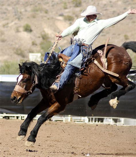 Rodeo Bucking Bronc Rider Editorial Photography Image Of Championship 20951137 Bronc Riding