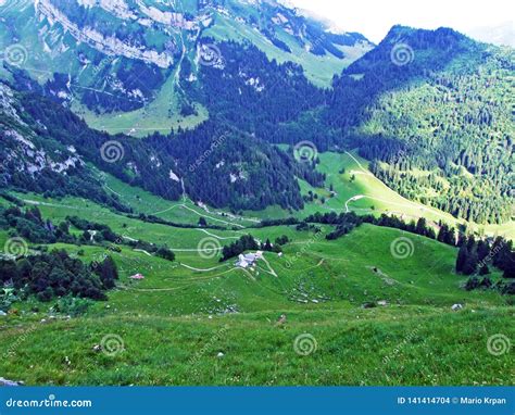Alpine Pastures And Meadows On The Slopes Of Alpstein Mountain Range