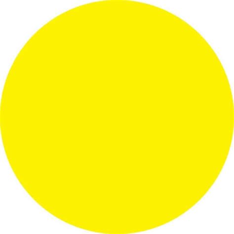 Circle Yellow Aardvark Israel
