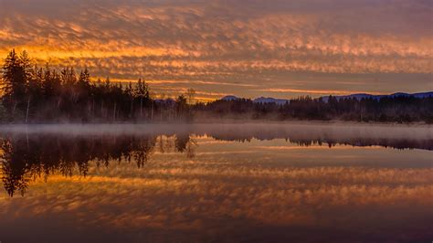 Panoramic Photography Of Forest Landscape Water Clouds