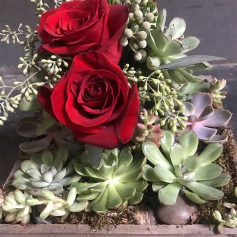 Panera bread near you now delivers! Red Roses and Succulents from Lake Elsinore VIP Florist ...