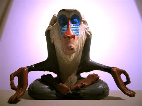 Meditating Monkey Flickr Photo Sharing