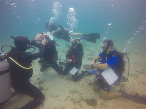 PADI Diving Instructor Development Course IDC Koh Tao