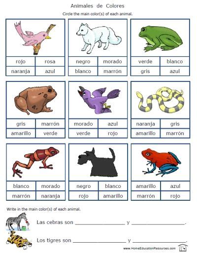 Free Colors In Spanish Worksheets Spanish Worksheets