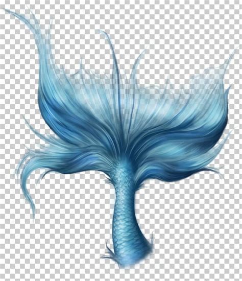 Download High Quality Mermaid Tail Clipart Wallpaper Transparent PNG Images Art Prim Clip Arts