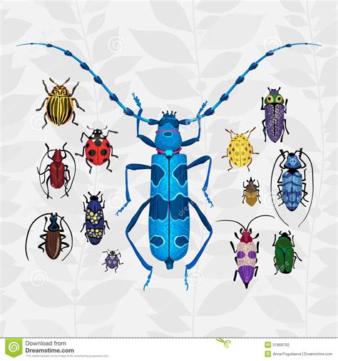 Bright Vector Set With Colorful Bugs Stock Vector