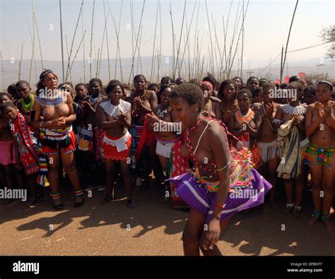 Zulu Maidens Zulu Reed Dance Stockfotos And Zulu Maidens Zulu Reed Dance Bilder Alamy