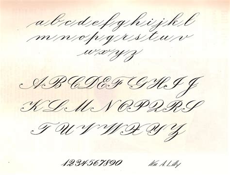 Calligraphy Sample Alphabet