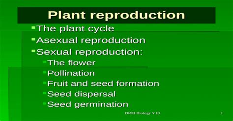 Drm Biology Y10 1 Plant Reproduction The Plant Cycle Asexual