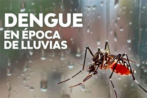 Noticia Cuidados Para Prevenir El Dengue Zika Y Chikungunya En época
