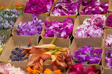 Too Pretty To Eat Hardly Our Guide To Edible Flowers