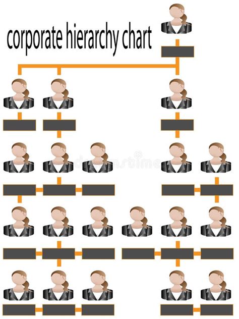 Corporate Hierarchy Structure Chart Stock Vector Illustration Of