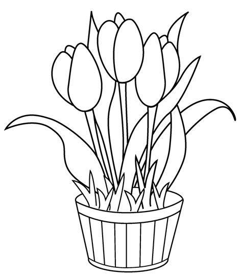 See also these coloring pages below Free Printable Tulip Coloring Pages For Kids