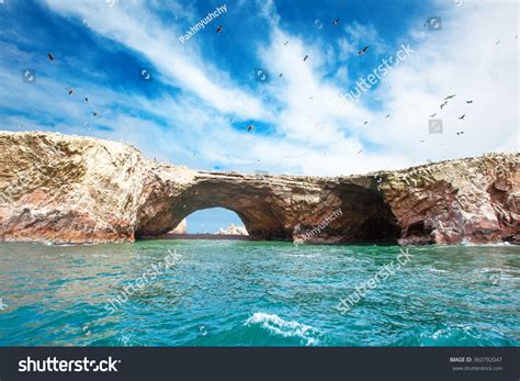 4829 Ballestas Islands Peru Images Stock Photos And Vectors Shutterstock
