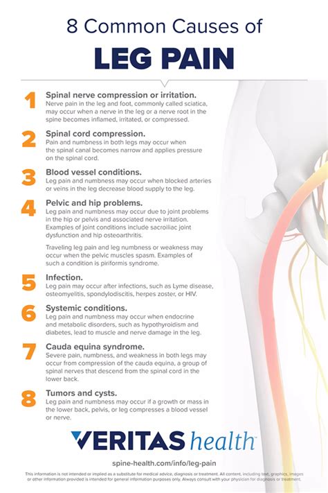 8 Causes Of Leg Pain Infographic Spine Health