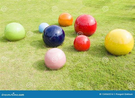 Colorful Balls Lawn In Garden Stock Photo Image Of Kids Lawn 134563314