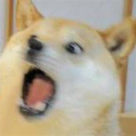 Shibe ϟϟ Youtube