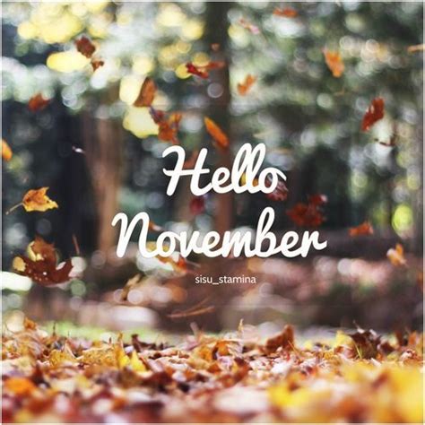 Hello November Welcome November Hello November Sweet November