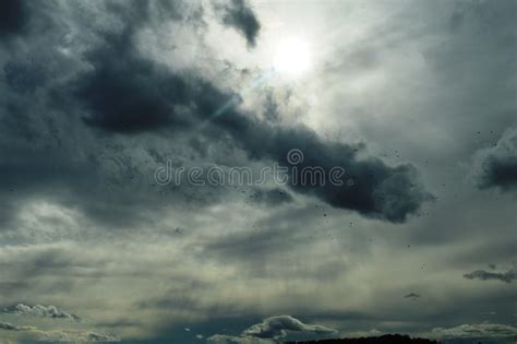 Cloudy Sky Before Rain Stock Image Image Of Tree Autumn 163885963