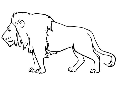 Male Lion Coloring Page Free Printable Coloring Pages For Kids