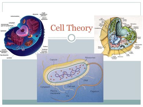 Cell Theory Ppt Download