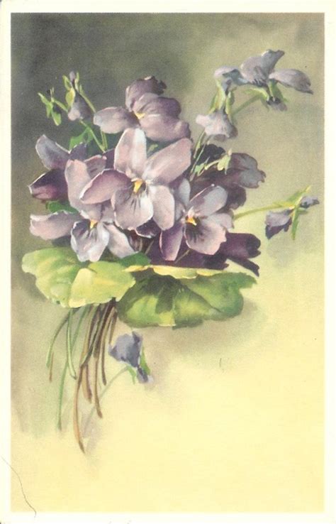 8 Vintage Alfred Mainzer Flower Postcards Hobbylark
