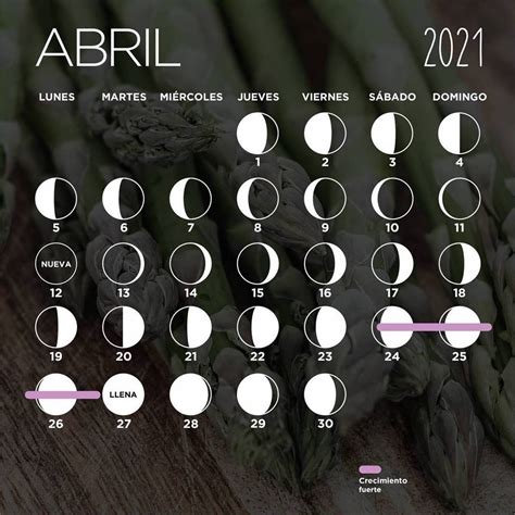 Lista 92 Foto Calendario Lunar Julio 2020 Para Cortarse El Cabello El